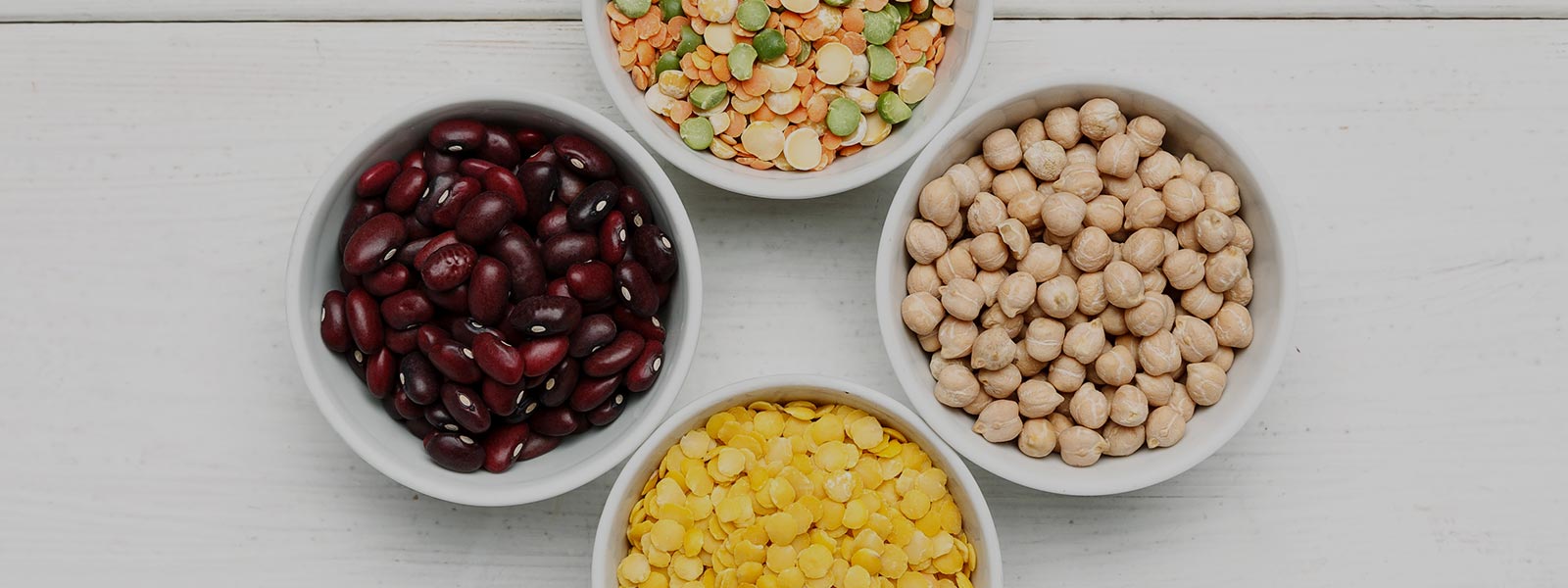 Bulk Buy Organic Beans, Legumes & Pulses Wholesale Terra Madre