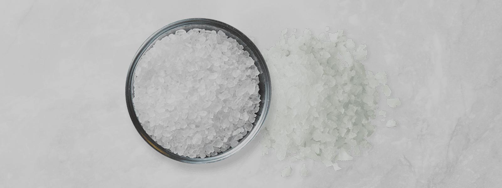 Bulk Salt Suppliers Organic Salt Wholesale Terra Madre