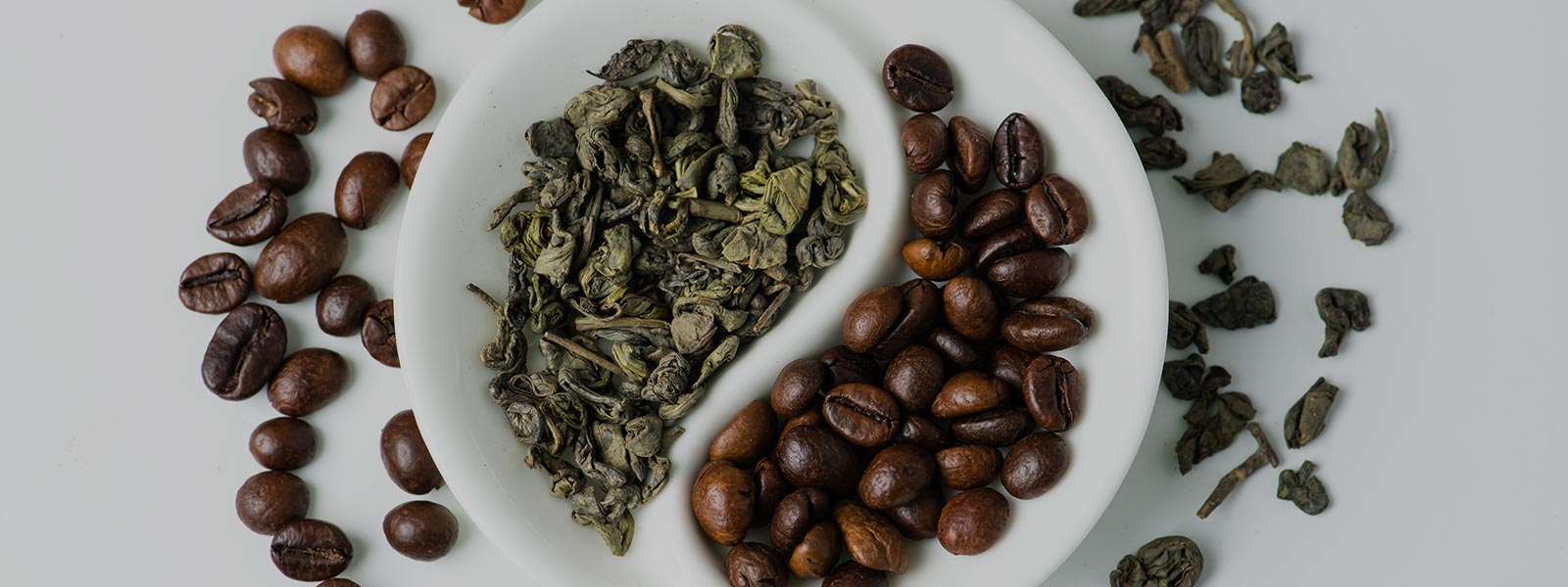 Organic Coffee and Tea Wholesale Bulk Coffee Beans Terra Madre